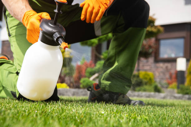 Best Pest Prevention Services  in Roseville, MN